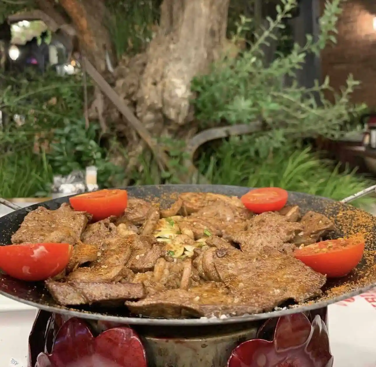 Akbıyık Döner Çamdibi