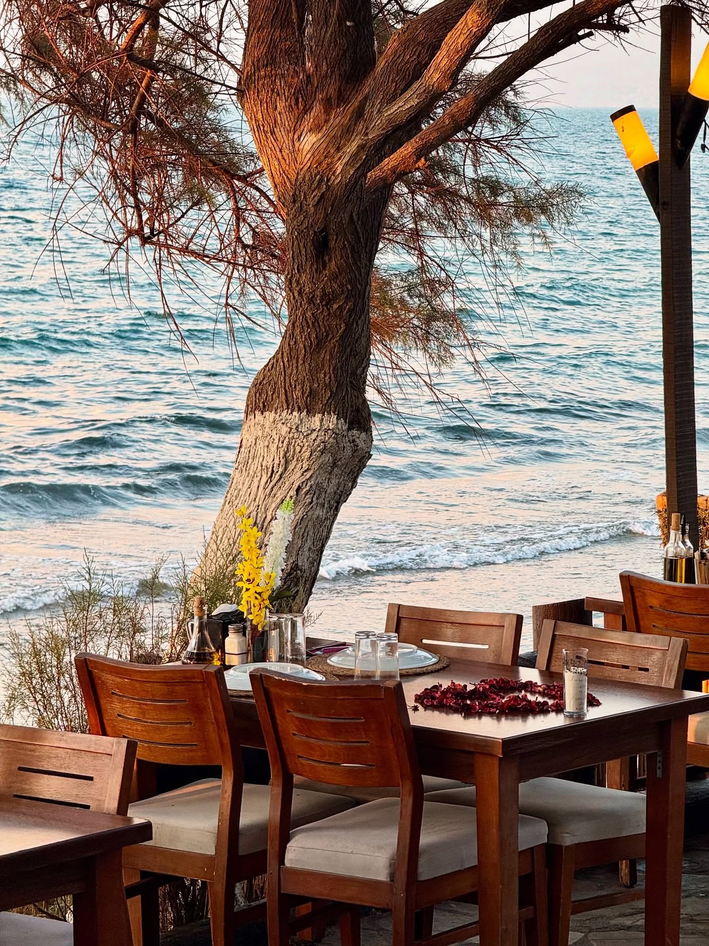 Zeytin Cafe