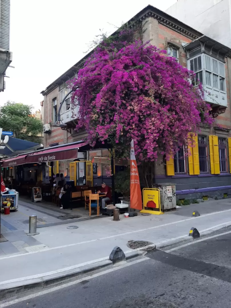 cafe du fiesta